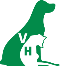 branding logo